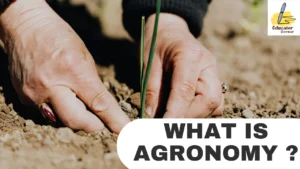 What is Agronomy 2024