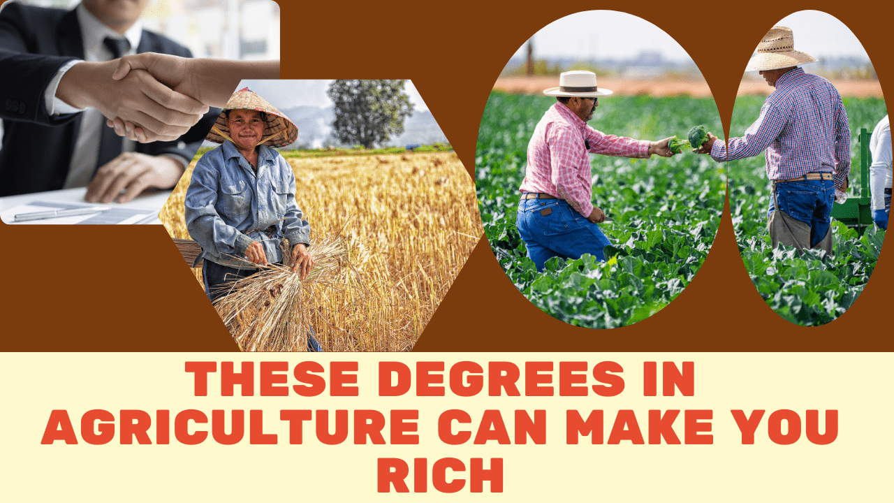 These Degrees in Agriculture Can Make You Rich