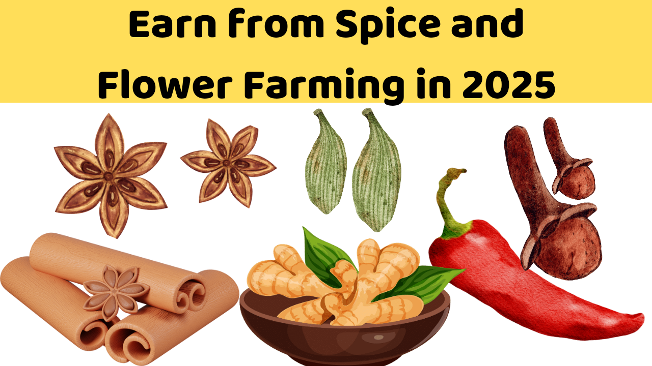 Earn from Spice and Flower Farming in 2025